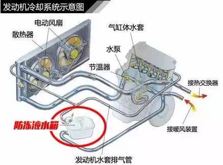为什么降温了,汽车更需要冷却液?