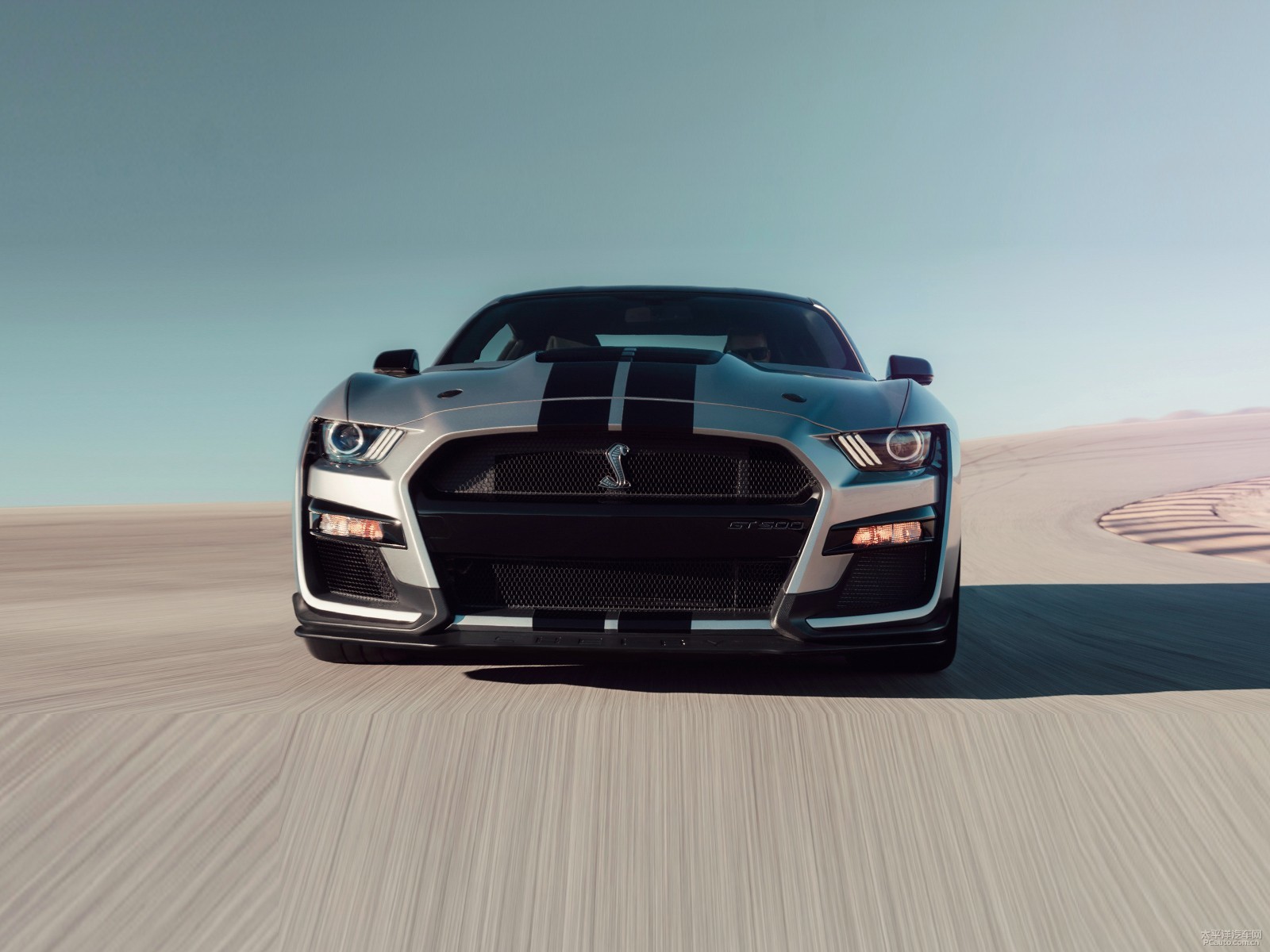 福特Mustang 2019款 Shelby GT500外观