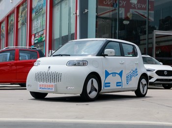 【欧拉白猫纯电动 】 2020款欧拉白猫360km 豪华型