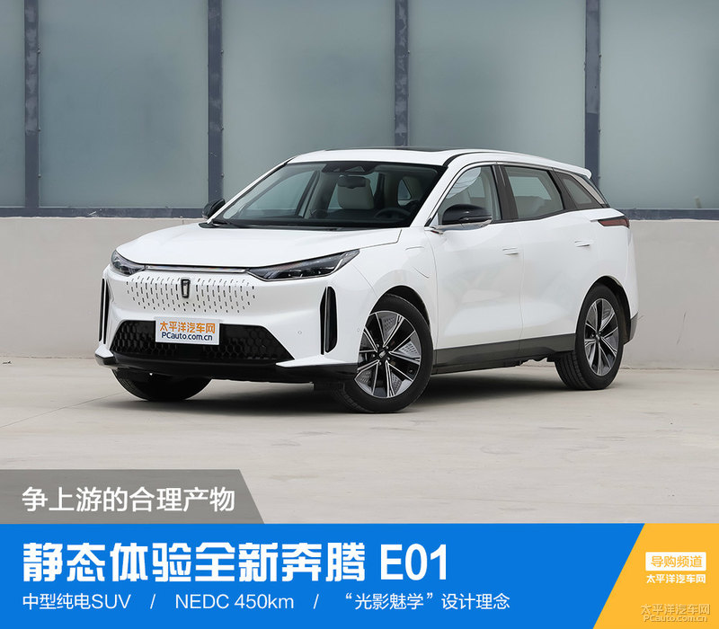 争上游的合理产物 静态体验全新奔腾 e01