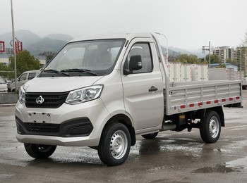 3l贷款购车】2021款新豹t1致富宝 1.