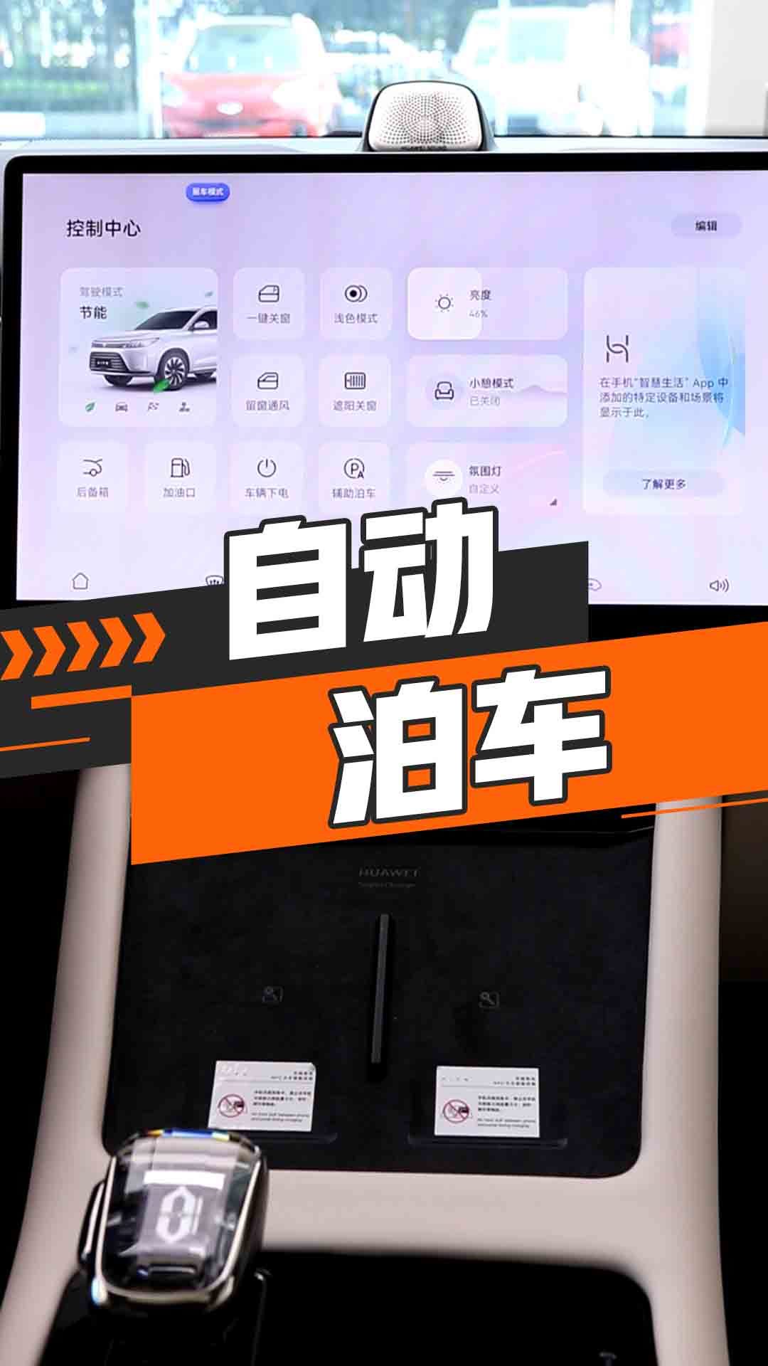 自动泊车