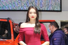 2020大连国际车展 WEY美女车模