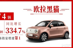歐拉黑貓12月銷量破萬!這份年終總結亮了