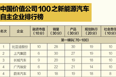 比亚迪中国价值公司100之新能源本土车企头名