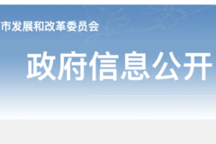 广州市新能源汽车补贴政策将延长至2021年12月底