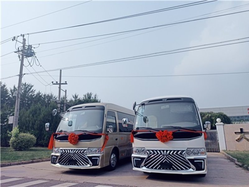 豐田考斯特12座特別尊享版汽車報(bào)價(jià)