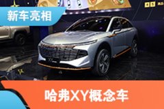 2021上海车展：哈弗XY概念车亮相