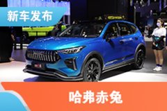 2021上海車展：哈弗赤兔預售價10.98-12.68萬