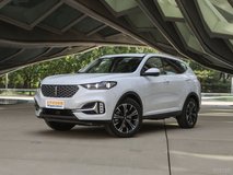 WEY VV6國(guó)VI多少錢能落地？WEY VV6裸車價(jià)