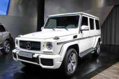 2015款 AMG G 63 悍野限量版?G級AMG底盤高嗎?G級AMG購車手冊