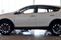 rav4定速巡航按鈕在哪