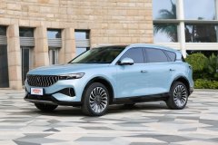 2021款 四驅純電版尊享包?嵐圖FREE底盤扎實嗎?嵐圖FREE購車手冊