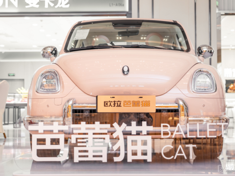 136年更爱女人的汽车，欧拉芭蕾猫商超展活动开启中～