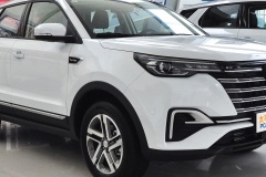 長安A800有定速巡航嗎