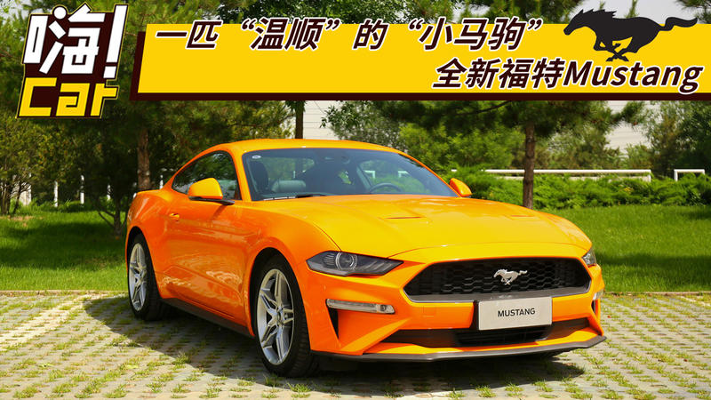 一匹“温顺”的“小马驹”, 全新福特Mustang