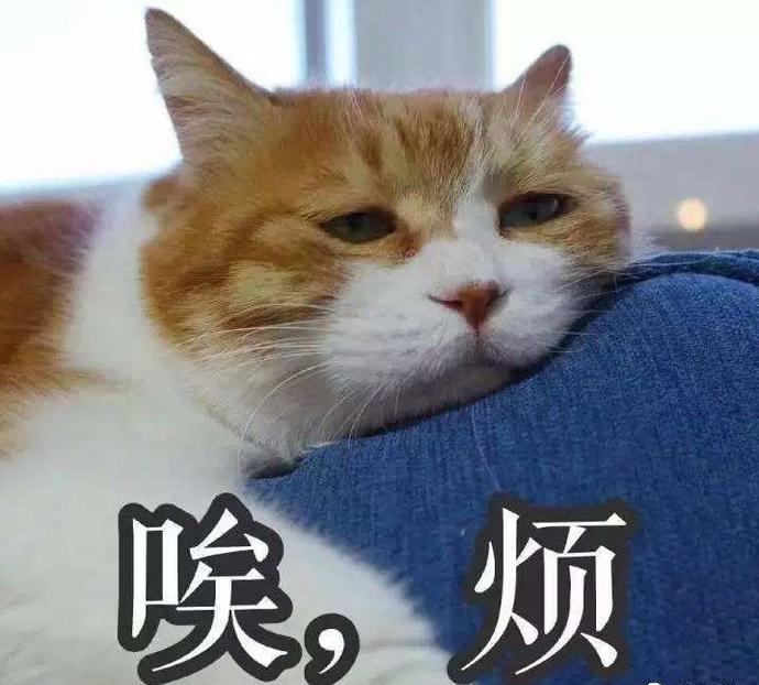 听到这里,脑瓜子是不是又嗡嗡的了?