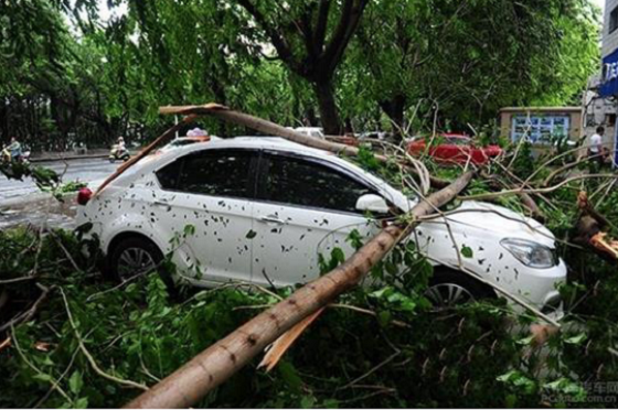 大樹砸車、冰雹砸車你找誰哭訴？保險能賠么？