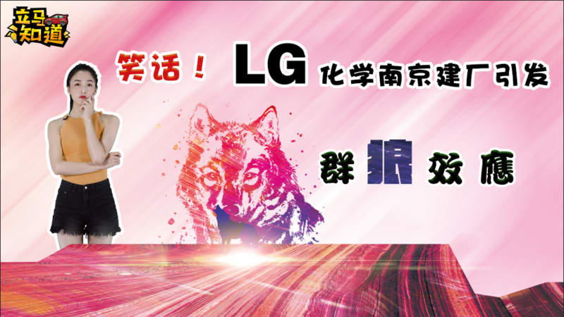 笑話！LG化學(xué)南京建廠引發(fā)群狼效應(yīng)？