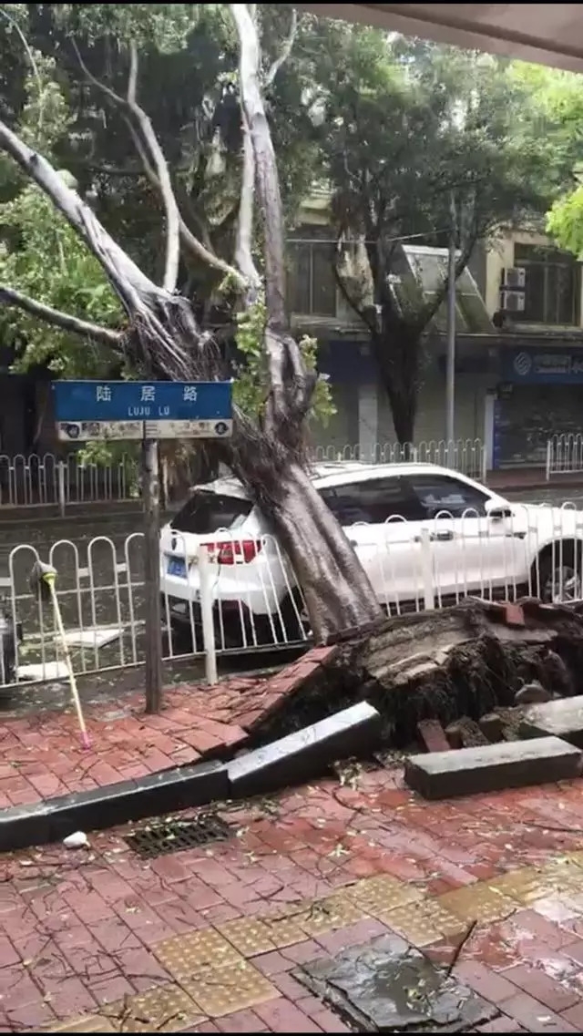 山竹來襲！很多汽車無辜受損，教你一招，讓保險賠償損失！