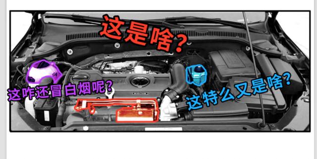 自己動手！你能對發動機艙做哪些檢查和維修？