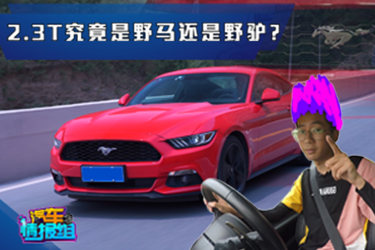 27萬的跑車，2.3T的Mustang究竟是野馬還是野驢？