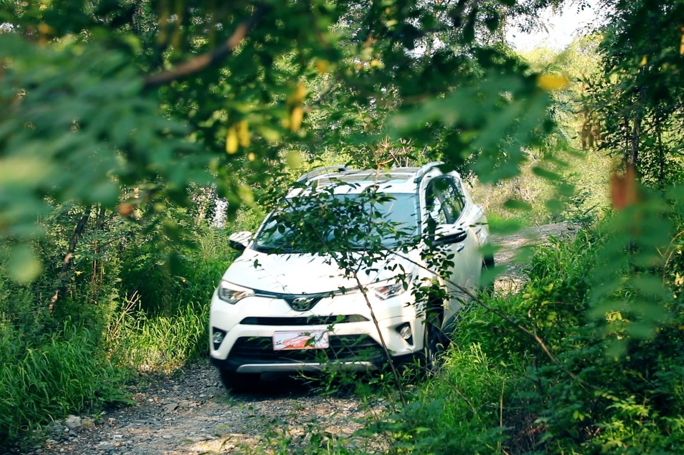 整天與車打交道的人在開什么車，陳磊和他的一汽豐田榮放RAV4