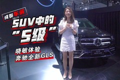车若初见