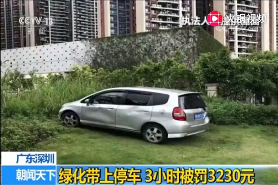 深圳绿化地停车按占地面积算？停车3小时被罚3230元