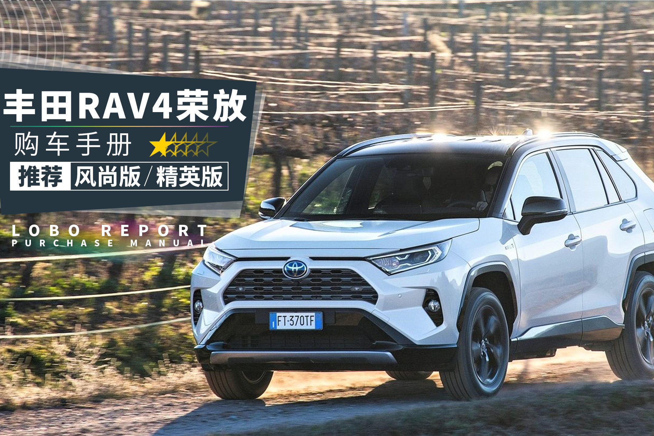 「全新RAV4購車手冊」2.0自吸比混動更值？