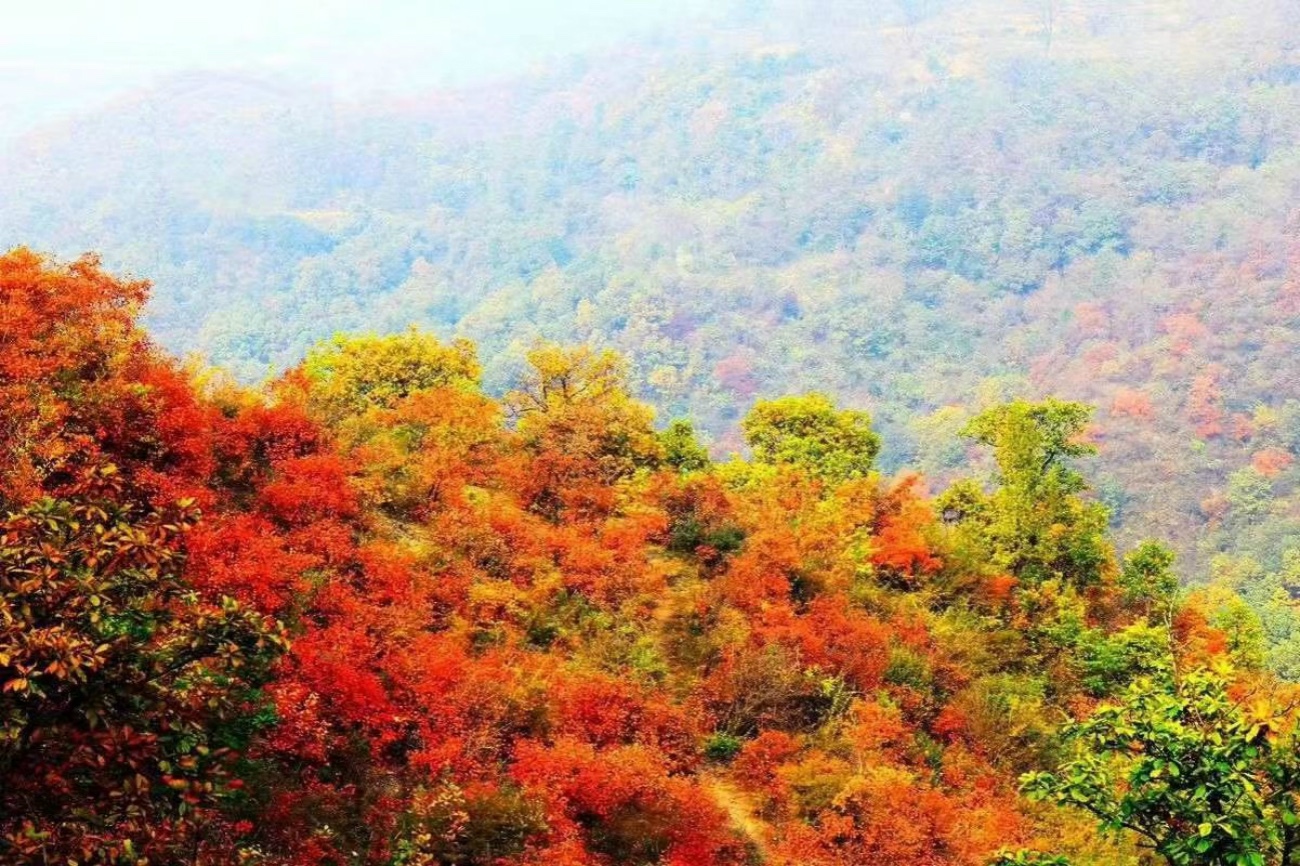 還在為秋游發愁嗎？北京最有趣的賞紅葉攻略