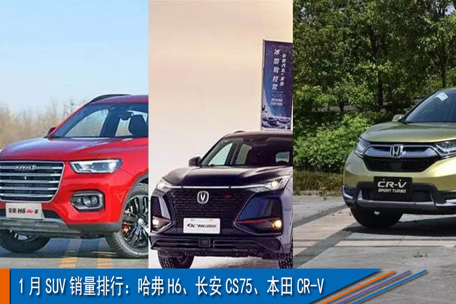 1月SUV銷量排行：哈弗H6、長(zhǎng)安CS75、本田CR-V