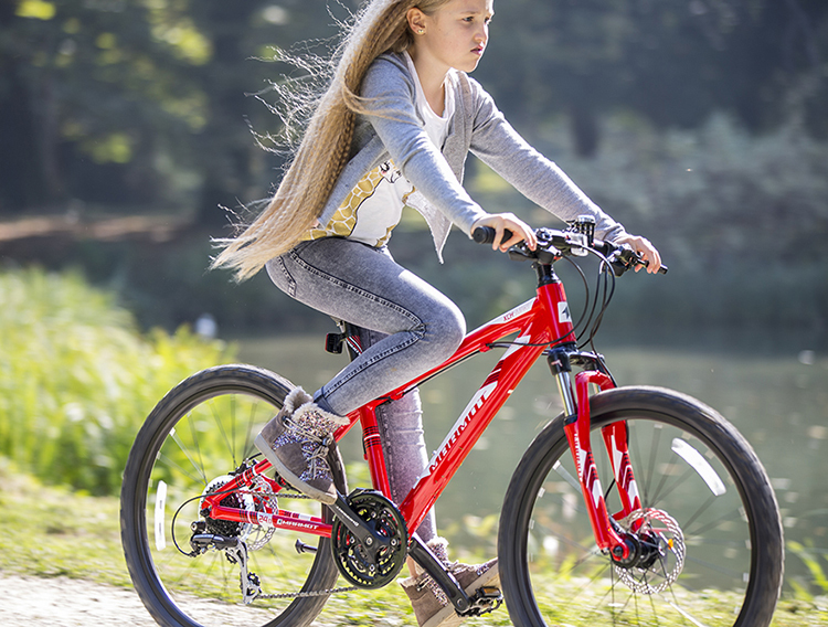 纳米体育中国十大儿童自行车性价比全球童车自行车品牌排行榜(图6)