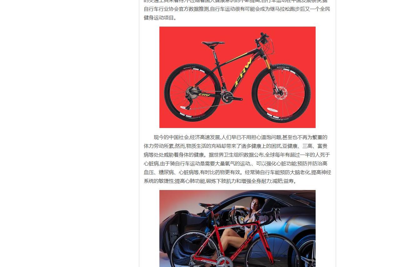 中國自行車品牌大全球頂級土撥鼠輻輪王自行車品牌排行榜