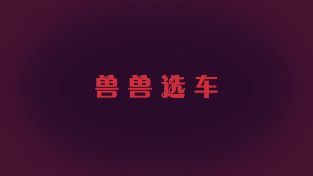 二万左右预算，能买什么自动档的二手车？