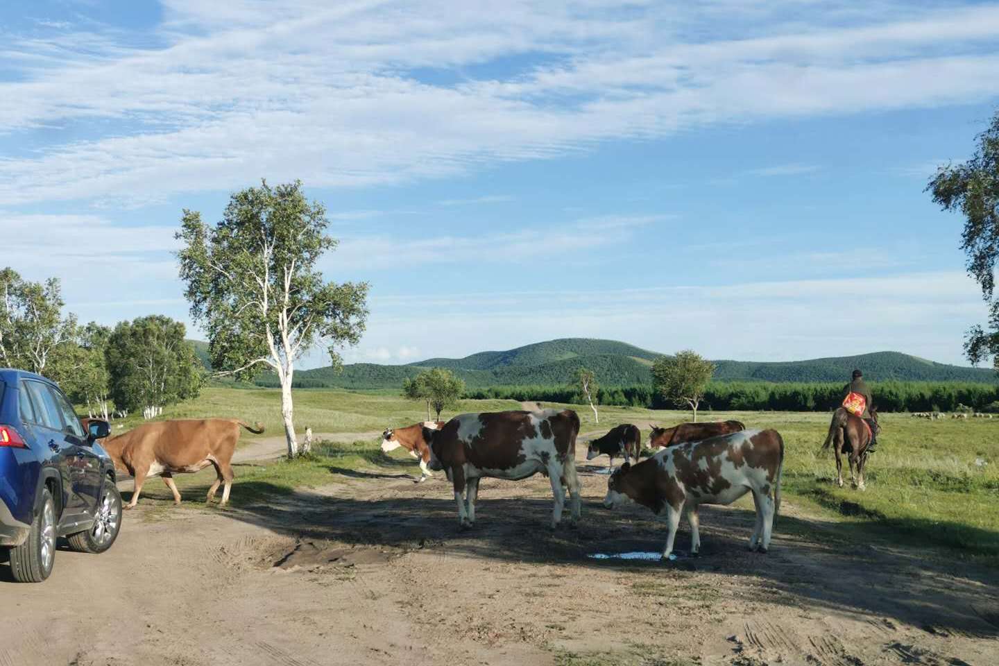 與威蘭達一起馳騁御道，共赴完美之旅