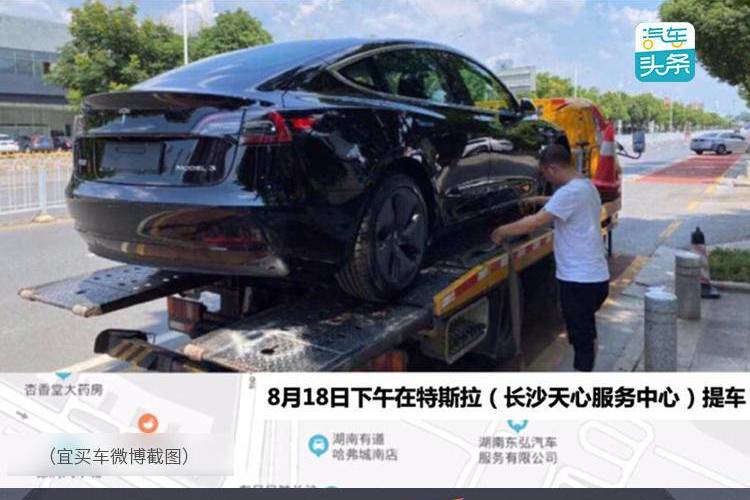 “可疑”的特斯拉車主