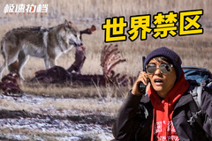 极速拍档
