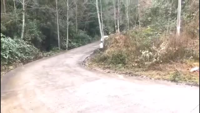 不是所有開豐田86的人都可以叫藤原拓海！