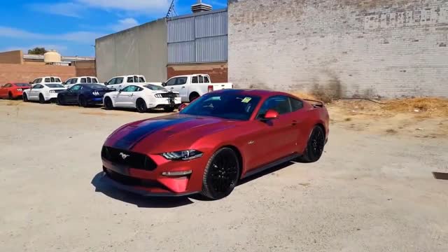 一副迫不及待想跑的样子,实拍福特野马gt5.0v8_太平洋
