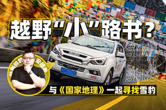 萝卜报告