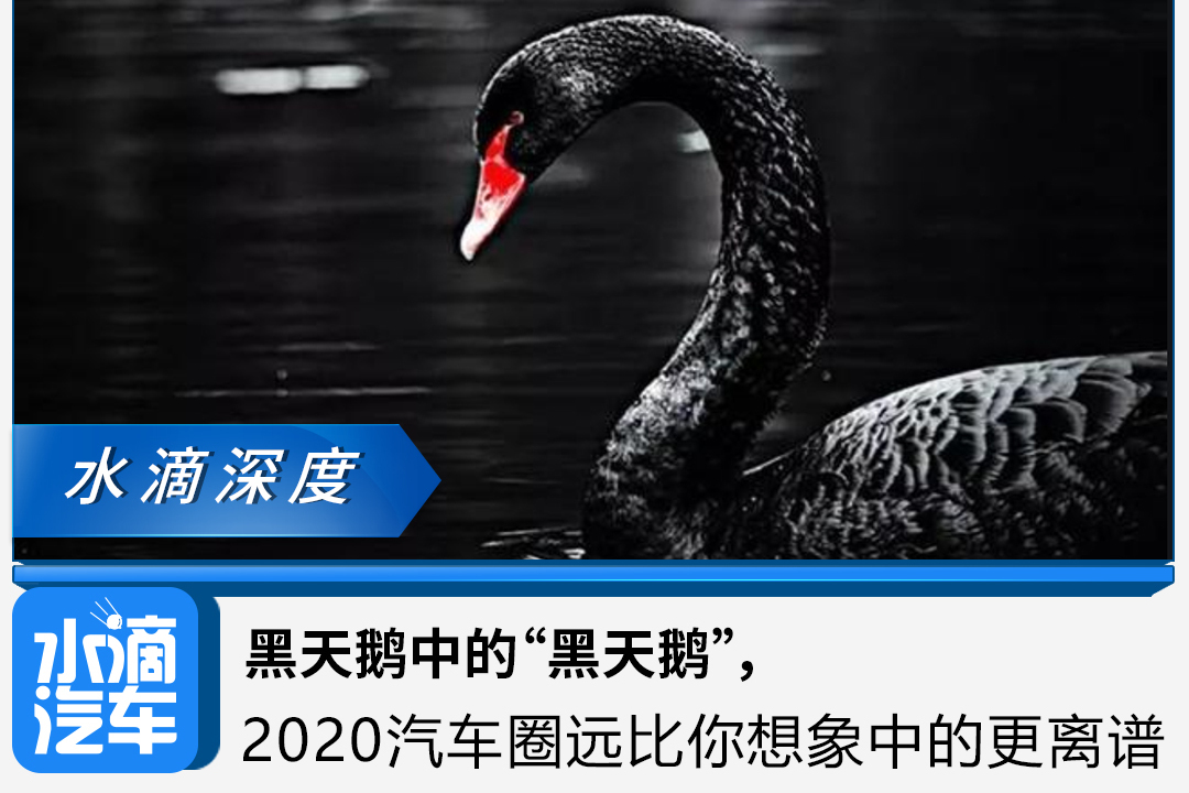 黑天鵝中的“黑天鵝”，2020汽車圈遠(yuǎn)比你想象中的更離譜