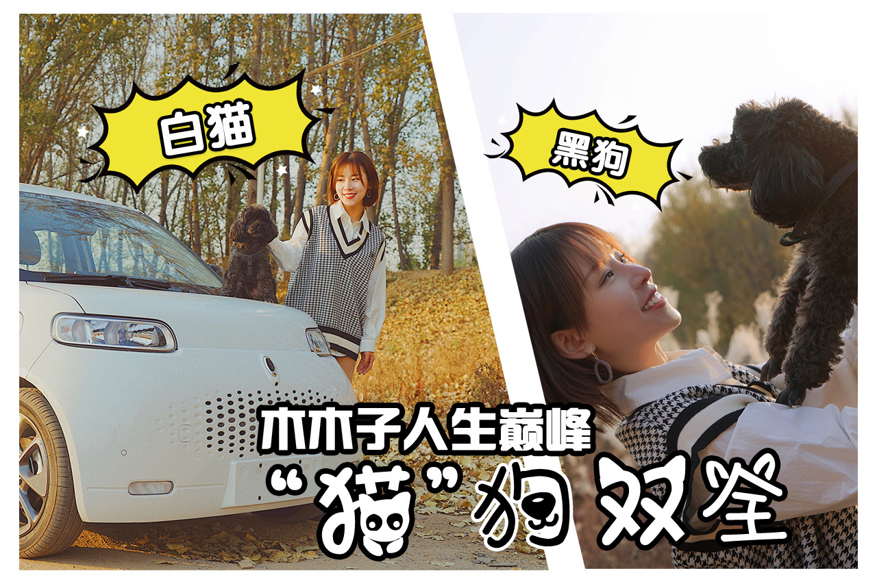 冒險一測！歐拉白貓遠途旅行究竟如何