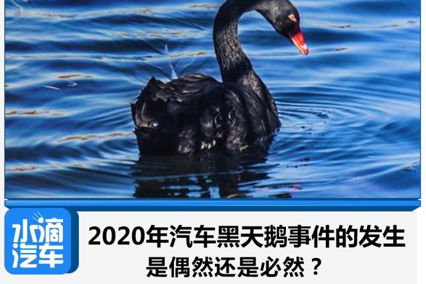 2020年汽車黑天鵝事件的發(fā)生是偶然還是必然？