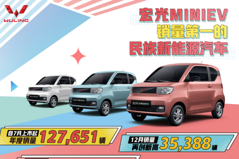 销量第一民族新能源汽车宏光MINIEV年度销量127651辆