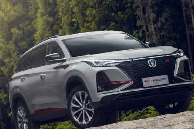 2020汽車圈大變局:自主猛,日系穩,德系跌