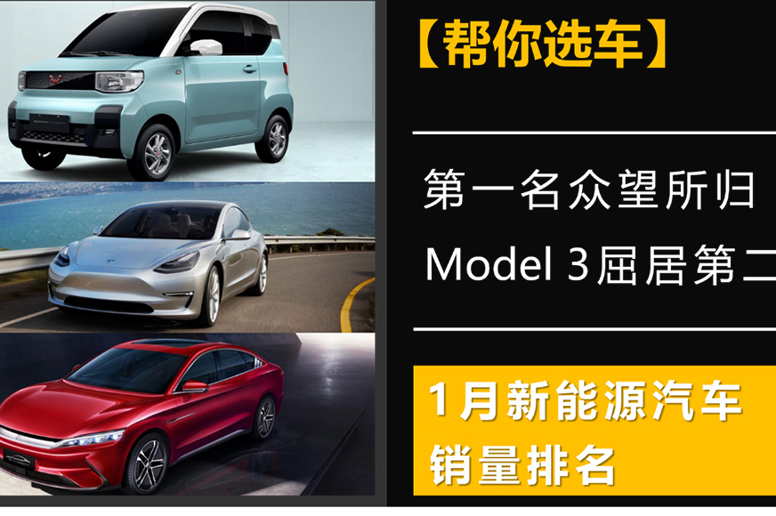 第一名眾望所歸，Model 3屈居第二，新能源汽車1月銷量