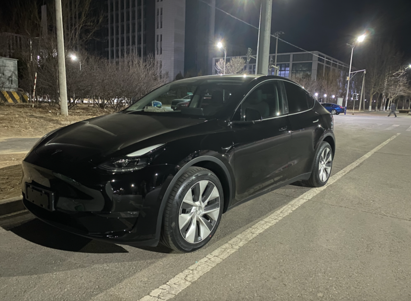 model y:没有更好的产品