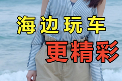 野生11