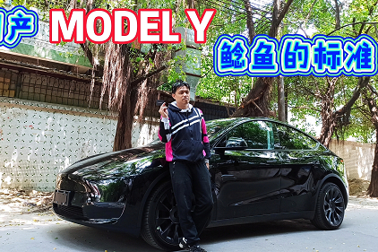 提车报告 | 国产model y 鲶鱼的标准